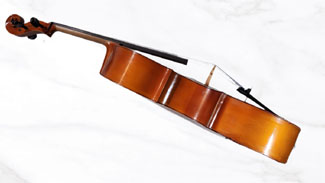 Post-NAMM+TMEA Demo Specials